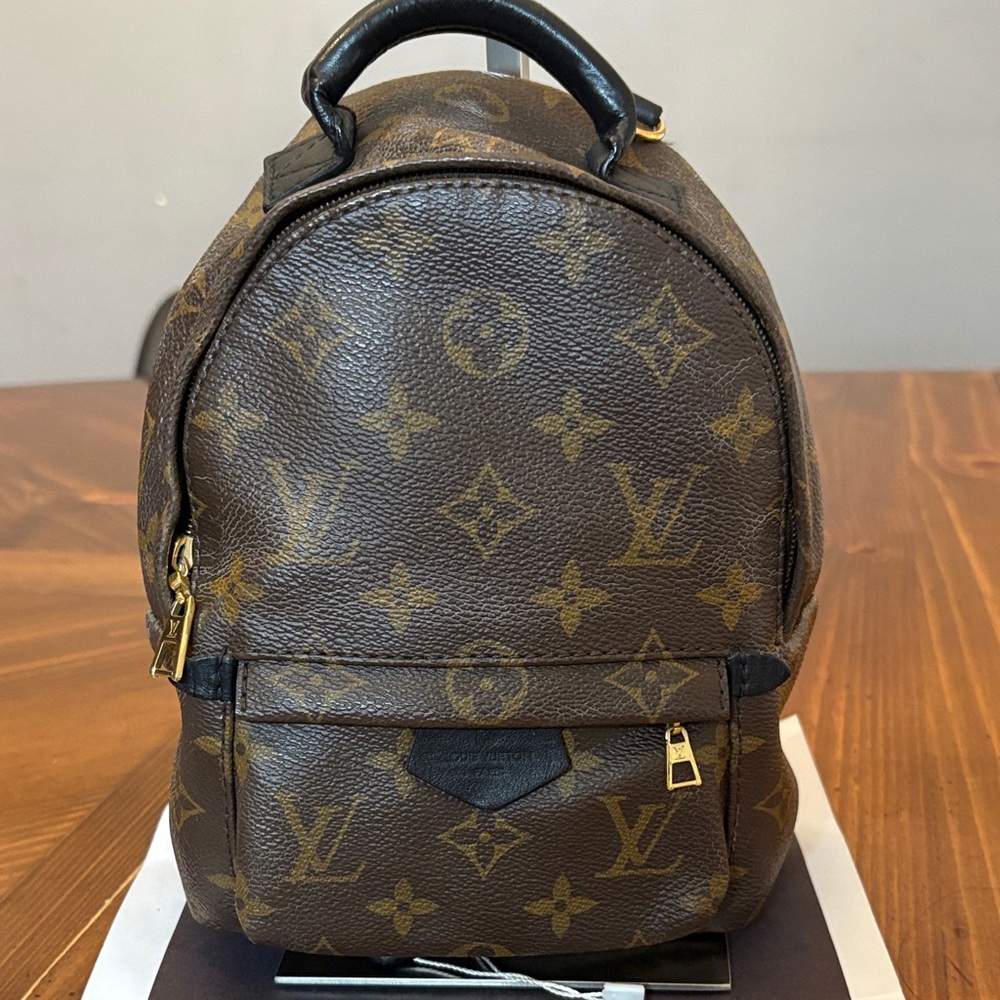 Louise Vuitton Palmspring Backpack